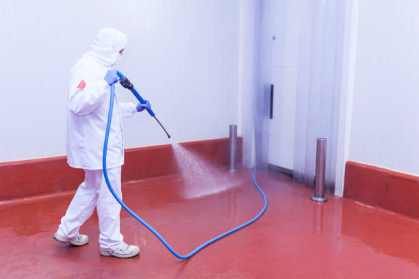 Best House Exterior Washing  in Sun Village, CA